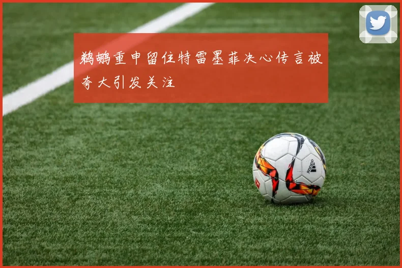 鹈鹕重申留住特雷墨菲决心传言被夸大引发关注